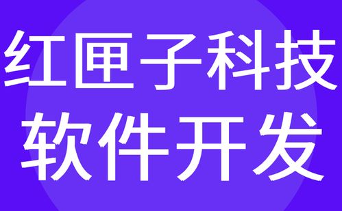 广州软件开发公司排名 外包有哪些 哪家好 红匣子科技