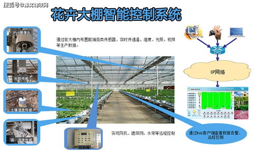 福建蜂窝物联 智慧花卉种植温室大棚解决方案